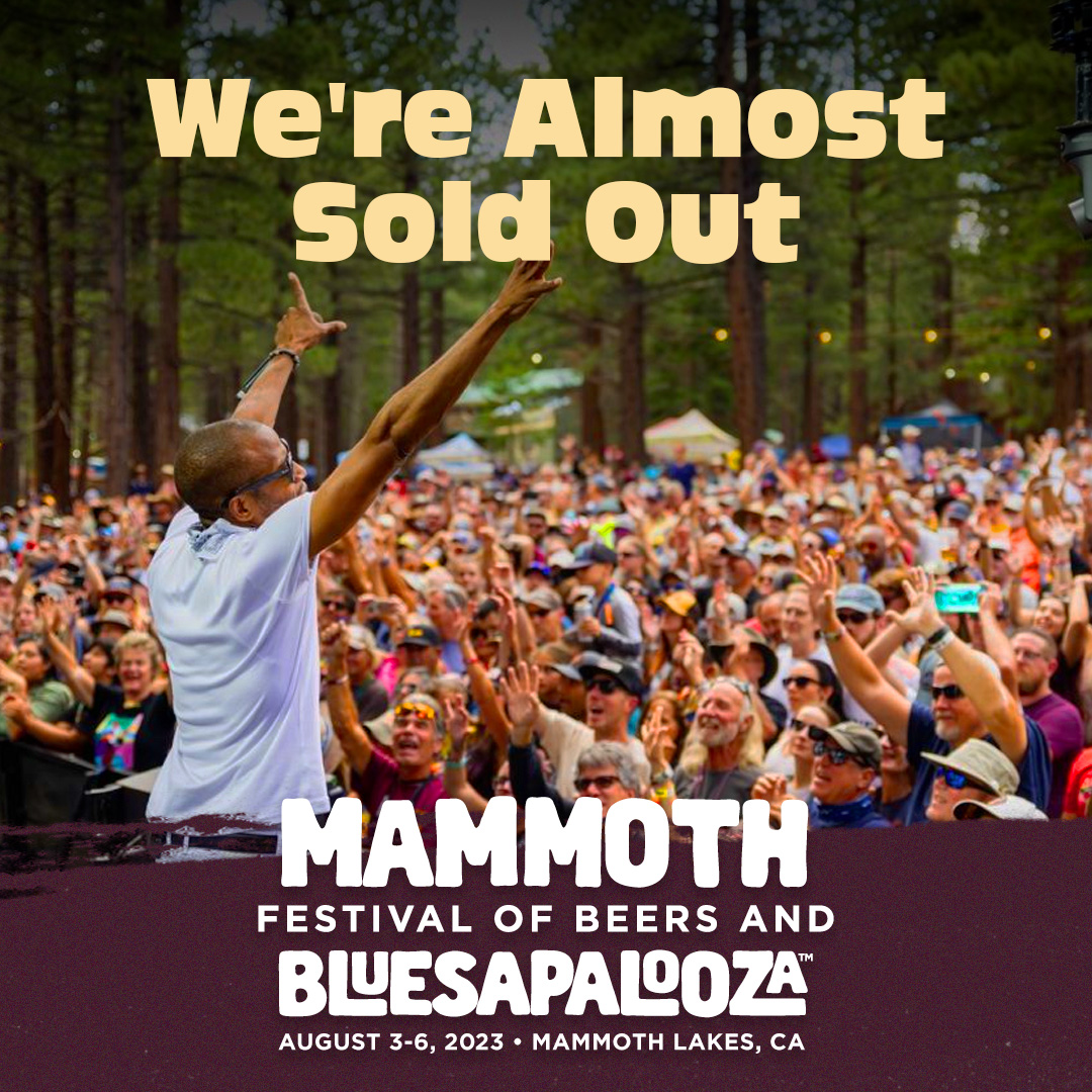 Static image ad creative — festival almost sold out ad
